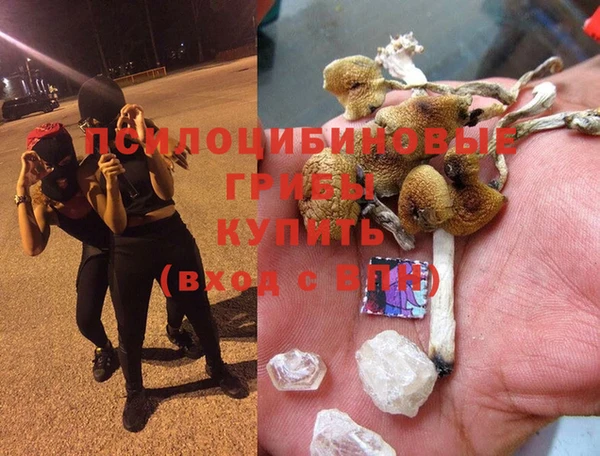 спиды Богородицк