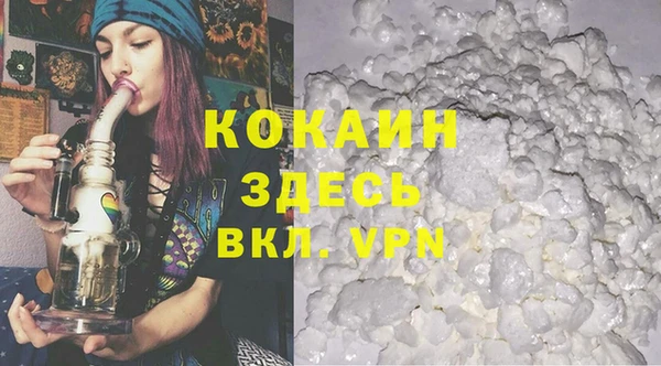 спиды Богородицк