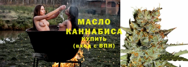 спиды Богородицк